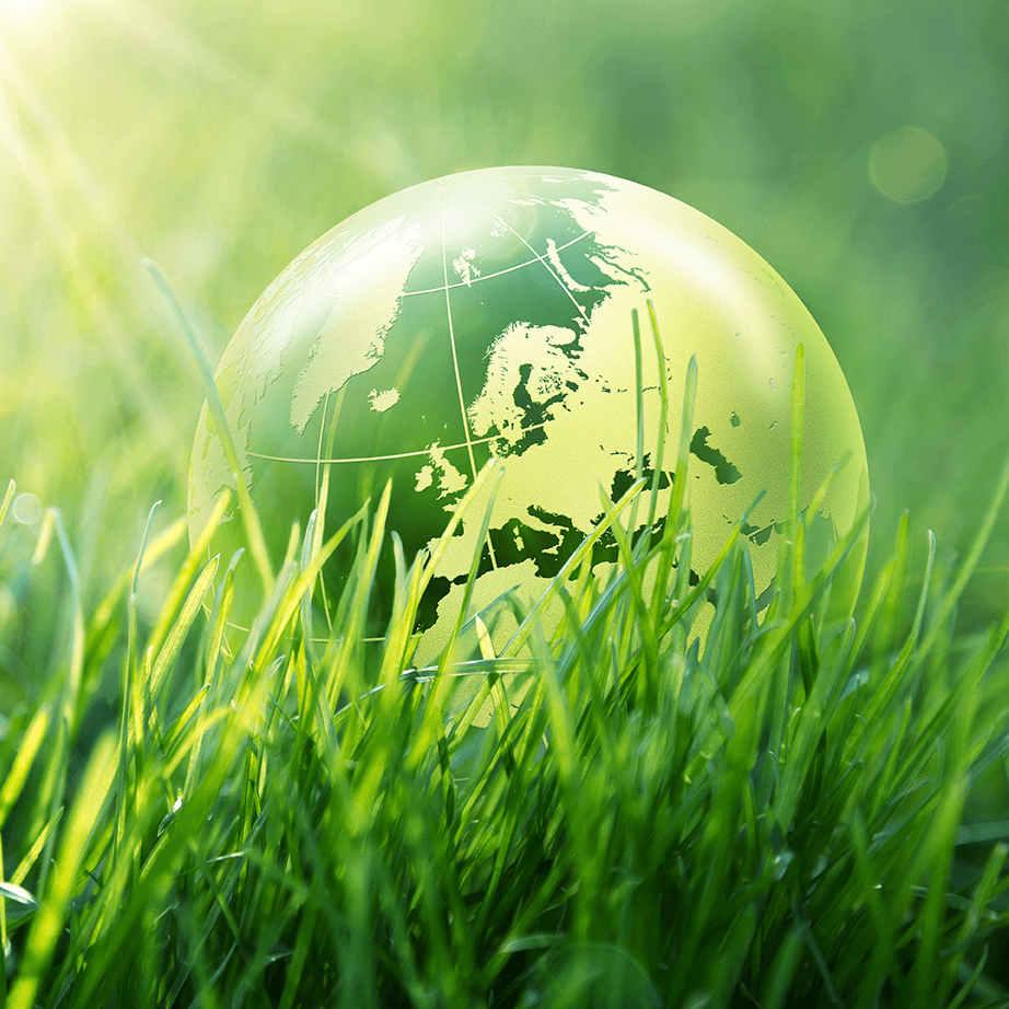 Un site internet eco-friendly